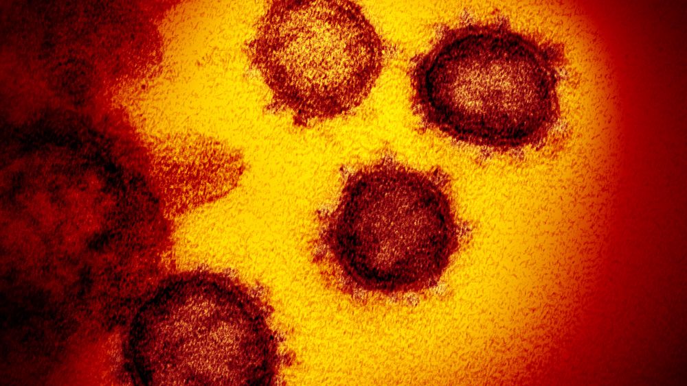 Corona virus
